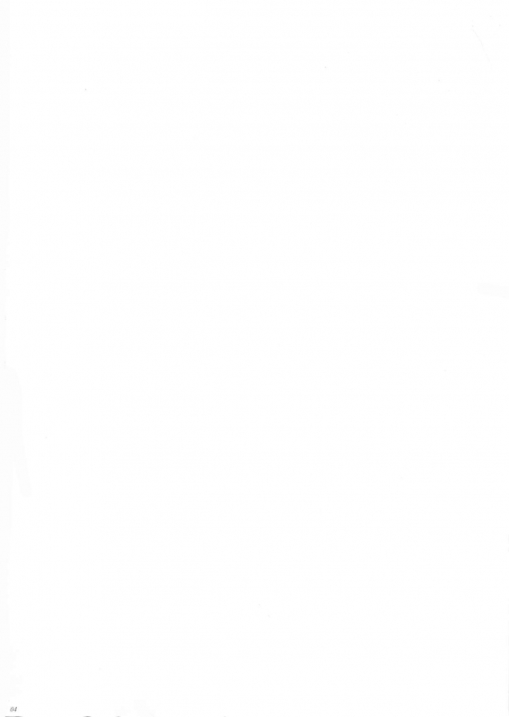 (C96) [Puppukupu (Kawaisaw)] Taima no Haha_03