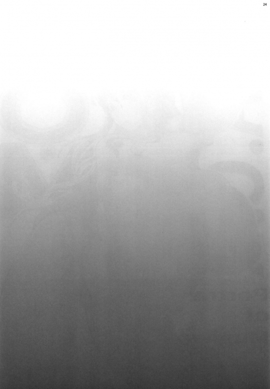 (COMIC1☆15) [Kocho Kocho Koukou (Bonten)] POM Soushuuhen (One Piece)_25