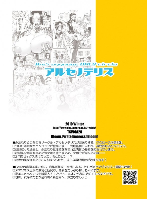 [Arsenothelus (Rebis, Chinbotsu)] Midarezaki Kaizoku Jotei (One Piece) [Chinese] [不咕鸟汉化组]_44