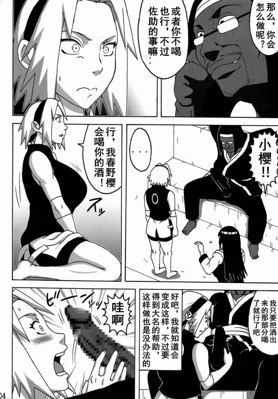 (C87) [NARUHO-Dou (Naruhodo)] SakuHina (NARUTO) [Chinese]_04
