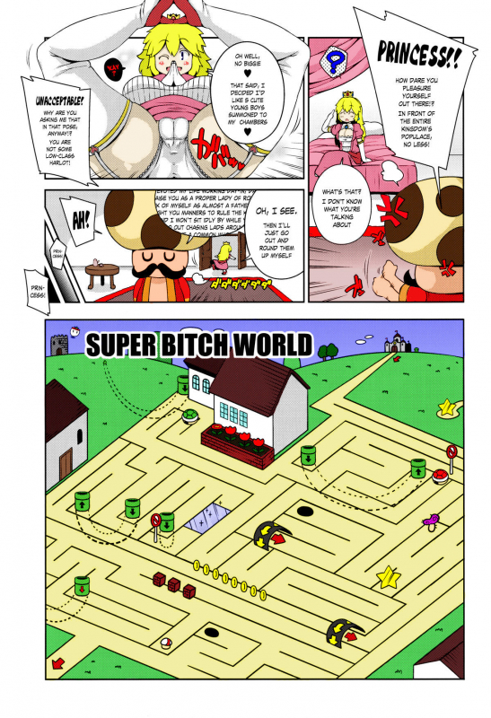 (C87) [Watosato (Sugiura Sen)] SUPER BITCH WORLD (Super Mario Brothers_05