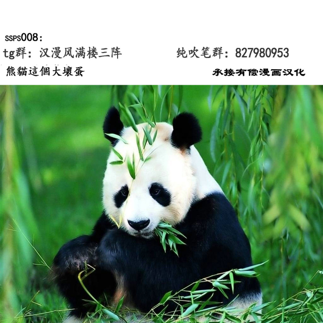 (C72) [Shiawase Pullin Dou (Ninroku)] Package Meat (Queen's Blade) [Chinese] [ssps漢化]_39