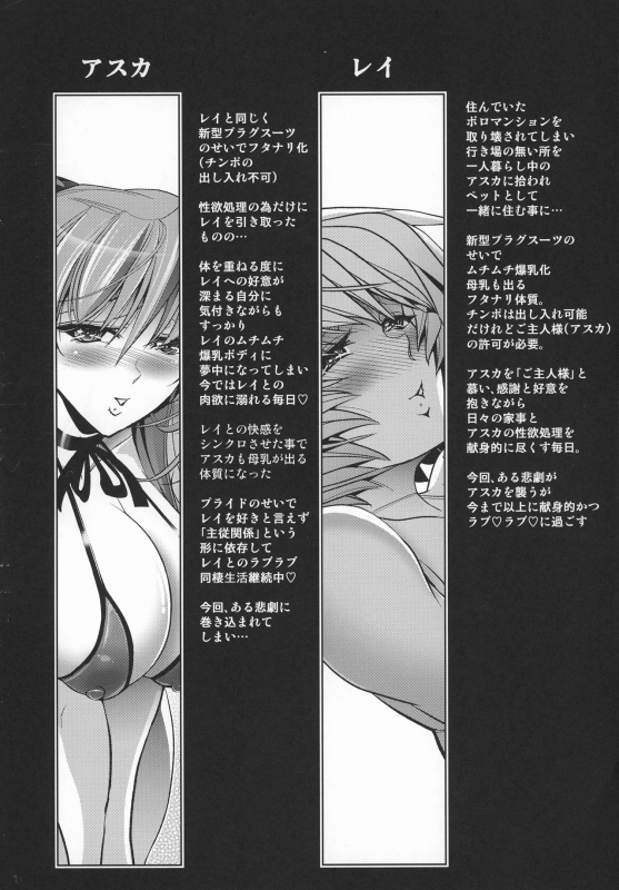 (C92) [Kawaraya Honpo (Kawaraya A-ta)] Lovey Dovey (Shinseiki Evangelion)_02