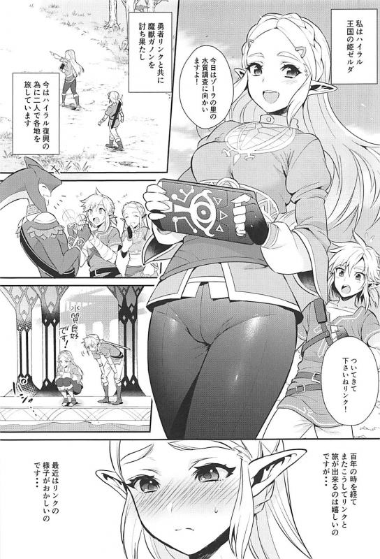 (C93) [Morittokoke (Morikoke)] Hyrule Hanei no Tame no Katsudou! (The Legend of Zelda)_03