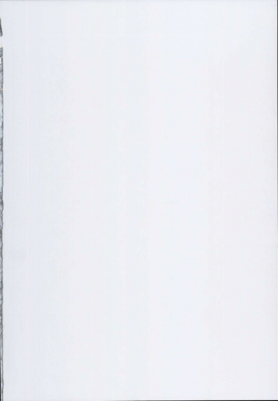 (C93) [Tori no Oishii Tokoro (Torisan)] Reima Shoukan _01