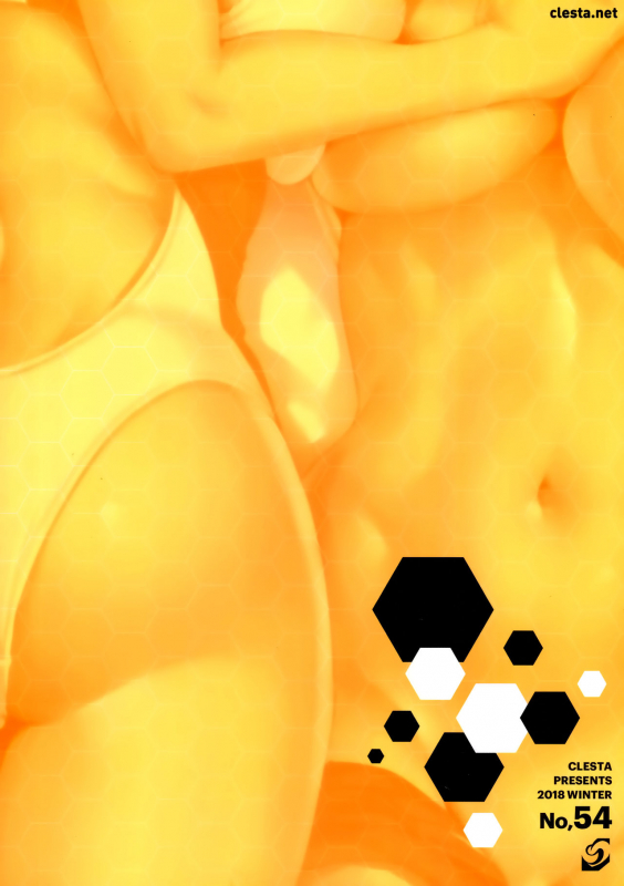 (C95) [Clesta (Cle Masahiro)] CL-orz 54 (FateGrand Order)_19