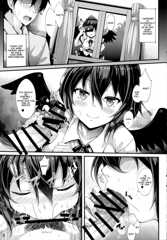 (Reitaisai 14) [YuKi-IRo (Yukiusagi.)] Aya Hame! (Touhou Project) [English] [Translato_03