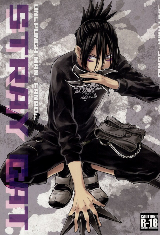 (C86) [LITHIUM (Yukimaru)] stray cat (One Punch Man) [English] [Cody Scans]_00