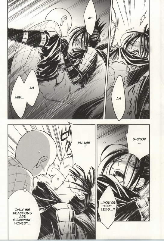 (C86) [LITHIUM (Yukimaru)] stray cat (One Punch Man) [English] [Cody Scans]_16