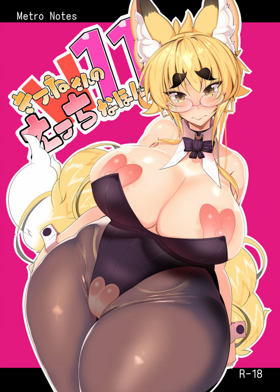 [Metro Notes (Tsumetoro)] Kitsune-san no H na Hon 11 [Digital]_00