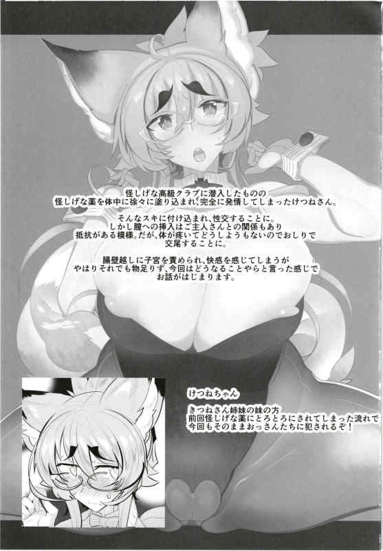 [Metro Notes (Tsumetoro)] Kitsune-san no H na Hon 12 [Digital]_01