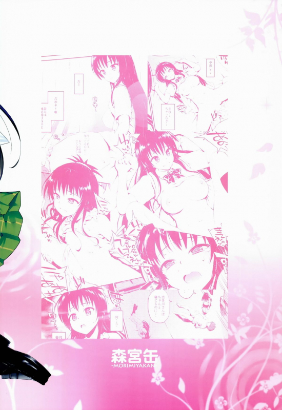 (C86) [Morimiyakan (Morimiya Masayuki)] Hana no Toriko (To LOVE-Ru) [English] {ageps}_31