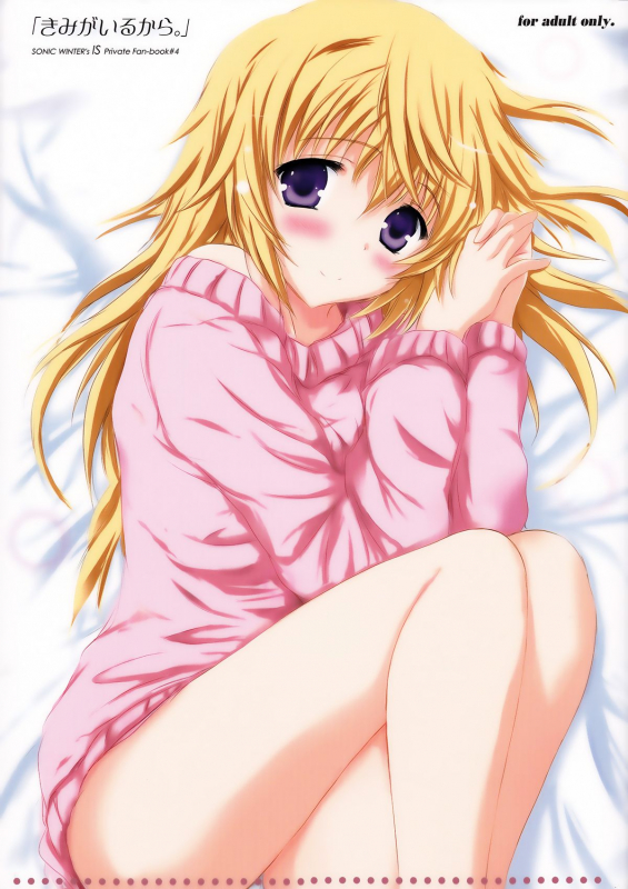 (C86) [SONIC WINTER (Tsukishima Kai)] Kimi ga Iru kara (Infinite Stratos) [English] [Rapid Switch]_00