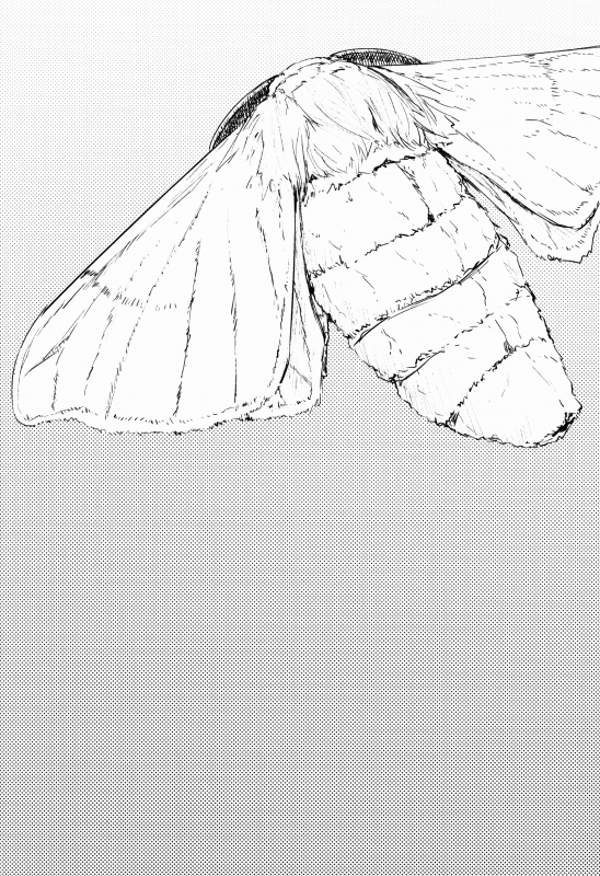 (C86) [Sakekan Memorial (SOLOPIPB)] Shiragasane  Layers of White 2 [English]_02