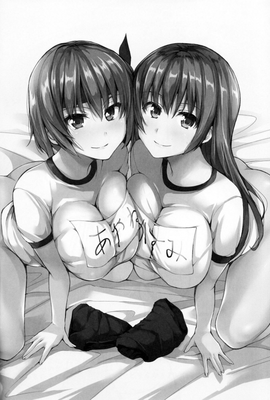 (C86) [Shimapan (Tachibana Omina)] Harem Mono Tsumeawase  Harem Variety Pack (Dead or Al_19