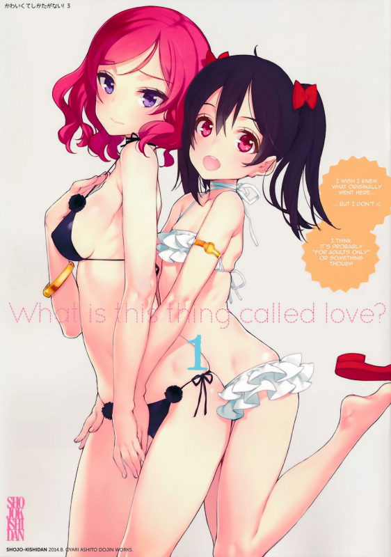 (C86) [Shoujo Kishidan (Oyari Ashito)] What is this thing called love 1 (Love Live!) [English]_00