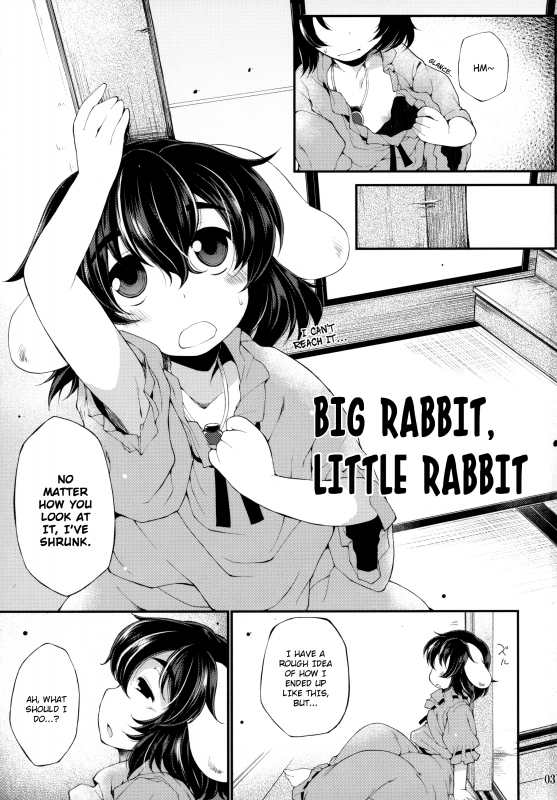 (C87) [IncluDe (Foolest)] Ookina Usagi Chiisana Usagi  Big Rabbit, Little Rabbit (Touhou P_01