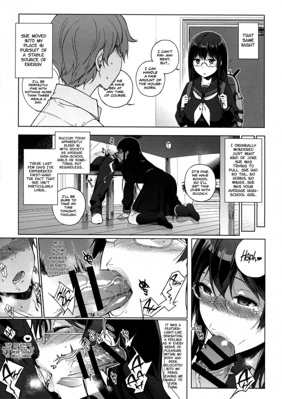 (C87) [NANIMOSHINAI (Sasamori Tomoe)] Succubus Stayed Life [English] [Facedesk]_06