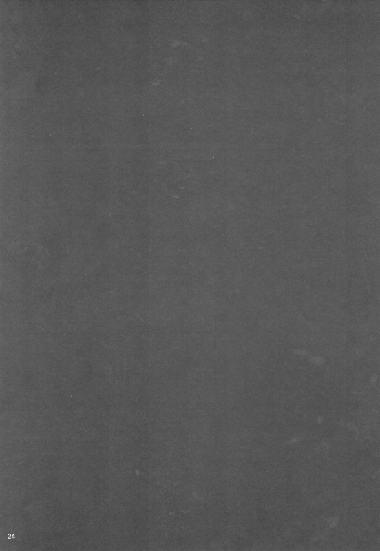 (C87) [Watagashi Maker, Naikai (Tomiko, Emilio)] Shounen Dokubutsu  Boy P_22