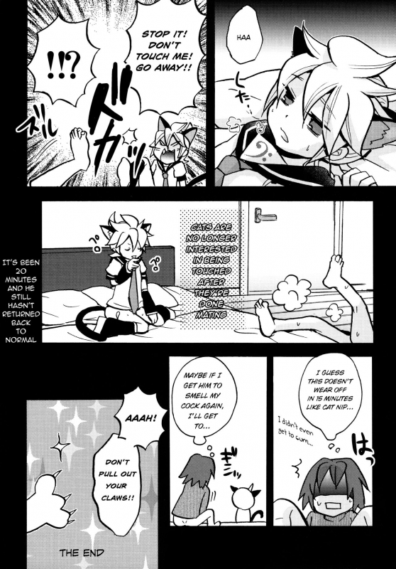 (C87) [Yomosugara (Yomogi Ringo)] Matamata Cat (VOCALOID) [English] {Shotachan}_15