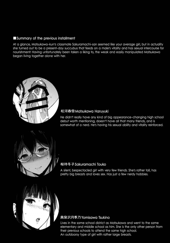 (C88) [NANIMOSHINAI (Sasamori Tomoe)] Succubus Stayed Life 2 [English] [Facedesk]_02