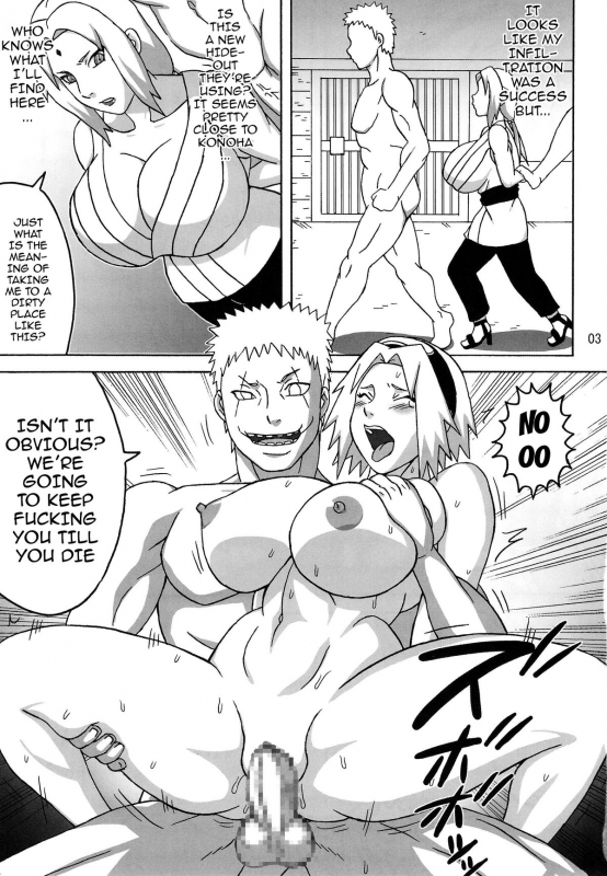 (C88) [NARUHO-Dou (Naruhodo)] Tsunade no In Kangoku R - Chichikage _03