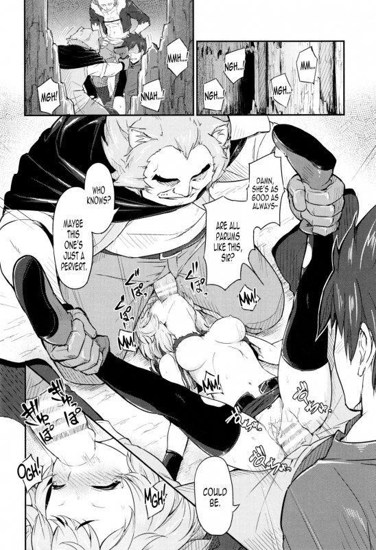 (C88) [Pirokobo (Piro)] Pallum no To_14