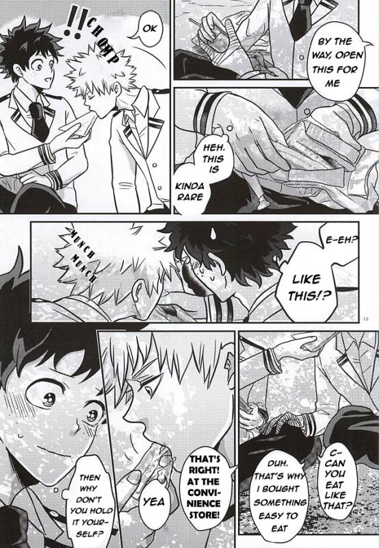 (C88) [VACIO (Amatoya)] Midoritani Shounen no Subete (My Hero Academia) [English]_11