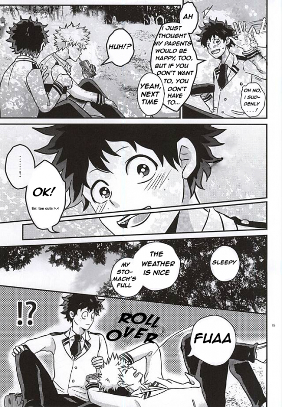 (C88) [VACIO (Amatoya)] Midoritani Shounen no Subete (My Hero Academia) [English]_13