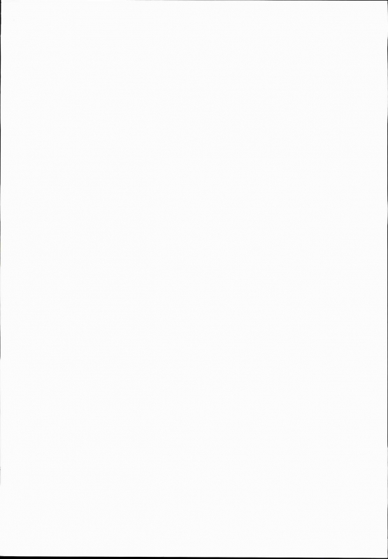 (C89) [Kamikadou (Ginyou Haru)] Gensoukyou Rakuenka Keikaku 16 (Touhou Project) [English] [desudesu]_02