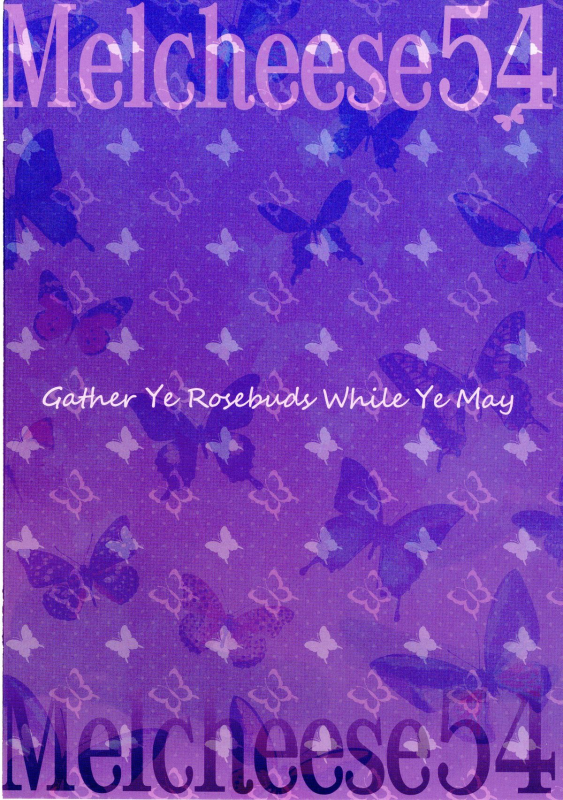 (C89) [Nama Cream Biyori (Nanase Meruchi)] Melcheese 54 (Granblue Fantasy) [English] [JMCS]_25