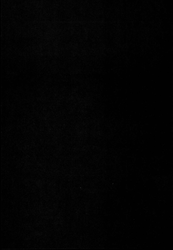 (C89) [Rocket Chousashitsu (Koza)] KoiFla Dream Party (Touhou Project) [English] [CGrascal]_03