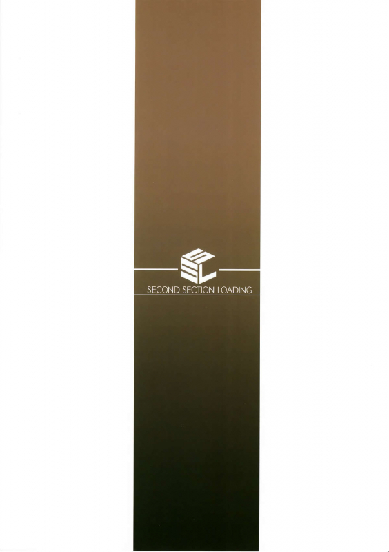 (C89) [S.S.L (Yanagi)] Rider-san to Kuro Stocking.  Rider-san and Black Stocking. (Fates_21