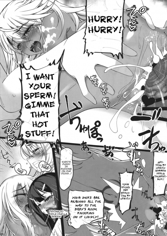 (C89) [Seikan Hitchhiker (Tsurugi Ai)] SHG02 (Fatekaleid liner Prisma Illya) [English] [Brolen]_24