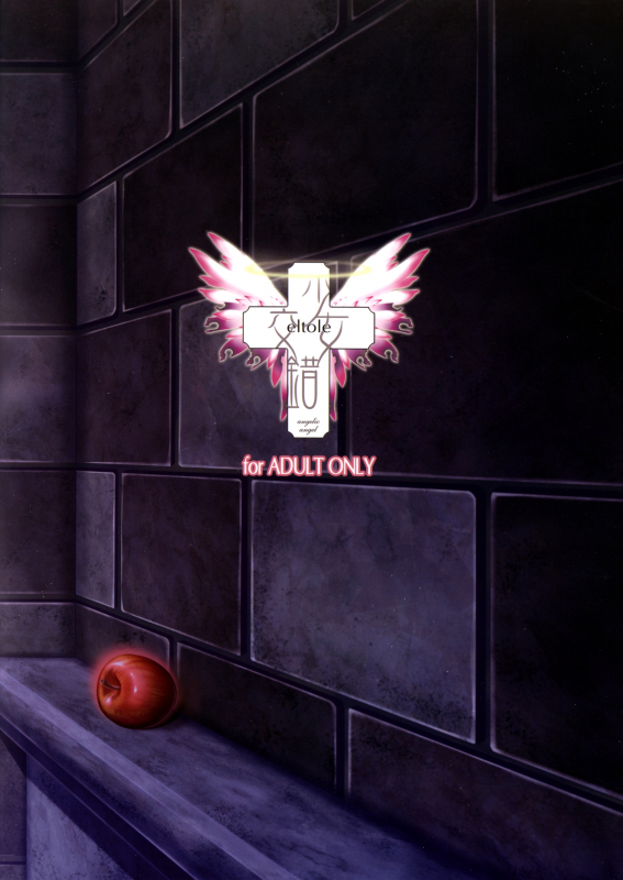 (C89) [Shoujo Kousaku (eltole)] El toiu Shoujo no Monogatari X5  Story of an Elf Girl X5 [_27