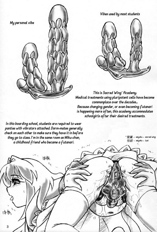 (C89) [Sumomo Dou (Sumomo EX)] PuniPuni Seiyoku Gakuen  PuniPuni Lust Academy [English] [J99814]_01