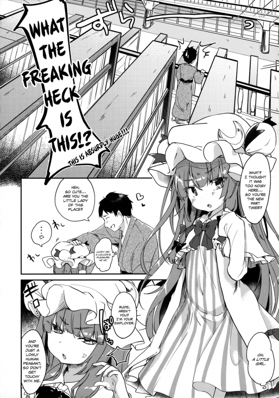 (C90) [Kedama Gyuunyuu (Tamano Kedama)] Karakuchi Patchouli-sama  Scathing Patch_02