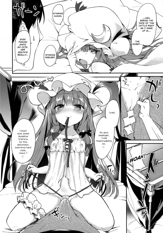 (C90) [Kedama Gyuunyuu (Tamano Kedama)] Karakuchi Patchouli-sama  Scathing Patch_20