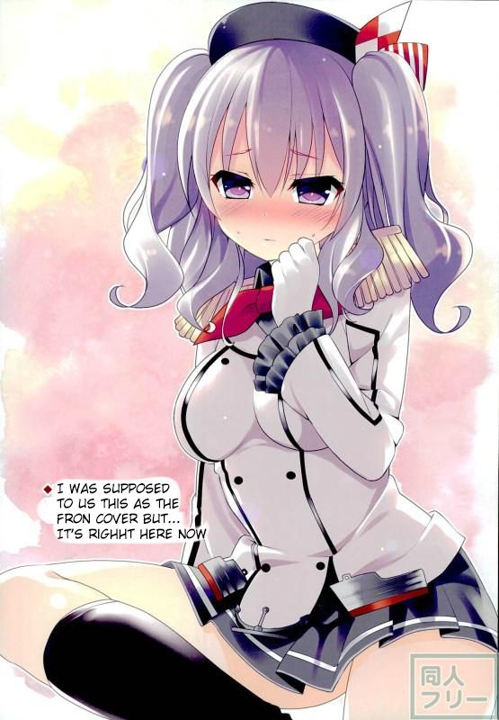 (C90) [P-POINT (Pikazo)] Teitoku to_09