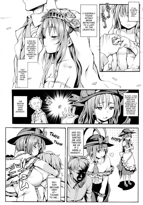 (C90) [Satellites (Satetsu)] Second marriage (Touhou Project) [English] [ATF]_04