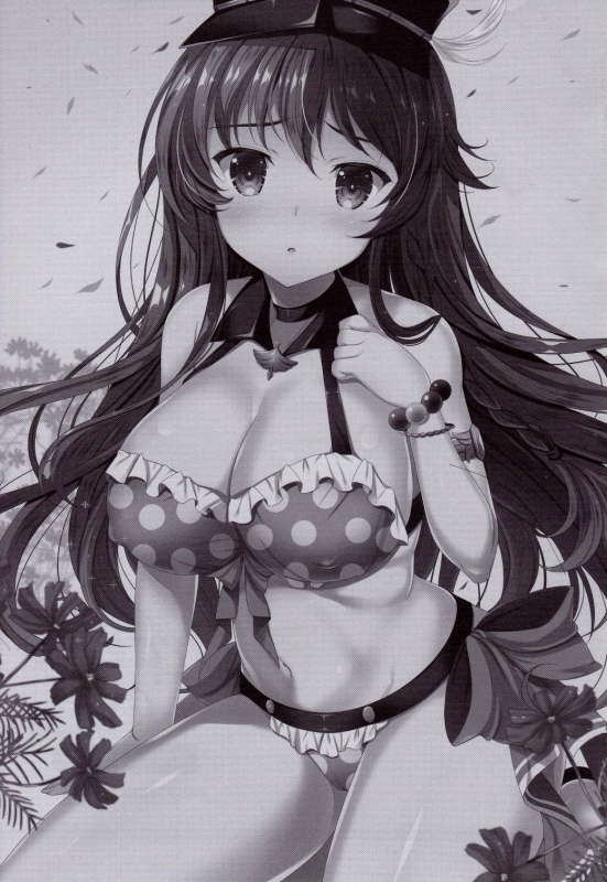 (C90) [THE FLYERS (Naruse Mamoru)]  Orderly Cage (Granblue Fantasy) [English]_01