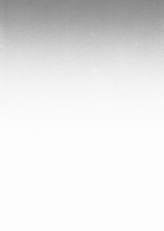 (C90) [canaria (Konayama Kata)] Kimi Dake no Ponytail [English]_02