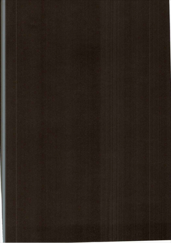 (C90) [e☆ALI-aL! (Ariesu Watanabe)] Andira Shiru  Andira Juice (Granblue Fantasy) [English] {atomicpu_02