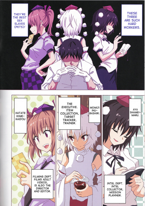 (C91) [Kamikadou (Ginyou Haru)] Gensoukyou Rakuenka Keikaku 18 (Touhou Project) [English] [desudesu]_04