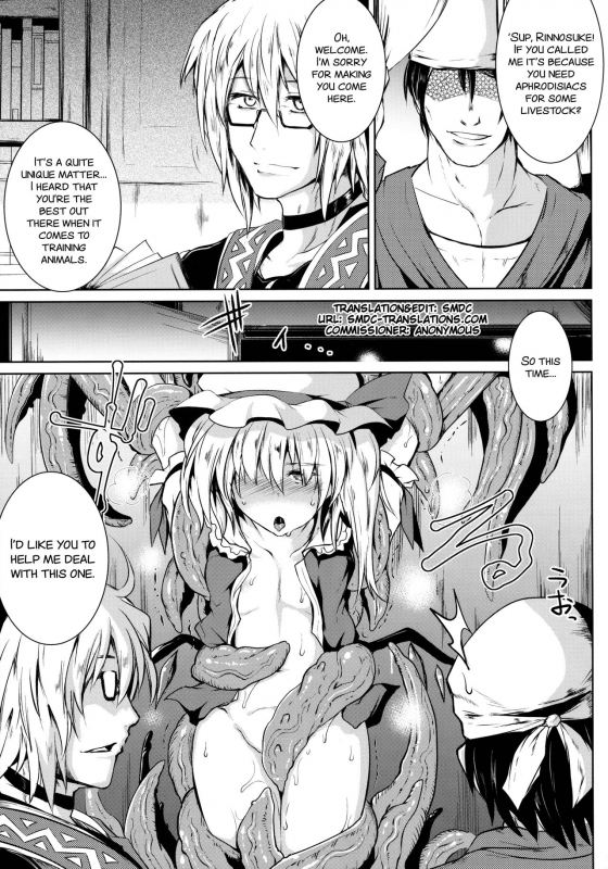(C91) [MegaSoundOrchestra (Sanwaribiki)] Gensou Enkou -Flandre- Shoku (Touhou Project) [English] [SMDC]_04