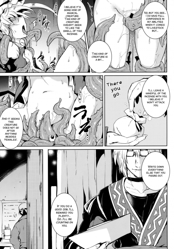 (C91) [MegaSoundOrchestra (Sanwaribiki)] Gensou Enkou -Flandre- Shoku (Touhou Project) [English] [SMDC]_06