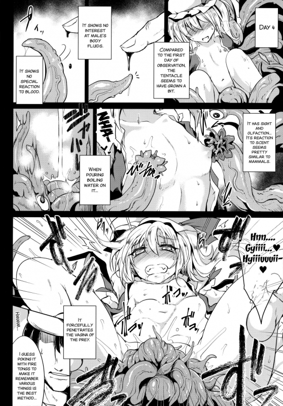 (C91) [MegaSoundOrchestra (Sanwaribiki)] Gensou Enkou -Flandre- Shoku (Touhou Project) [English] [SMDC]_09