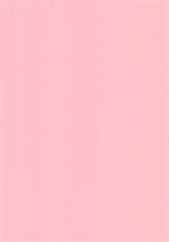 (C91) [Yorando (Sugi G)] STRANGE WIFE [English] [desudesu]_02