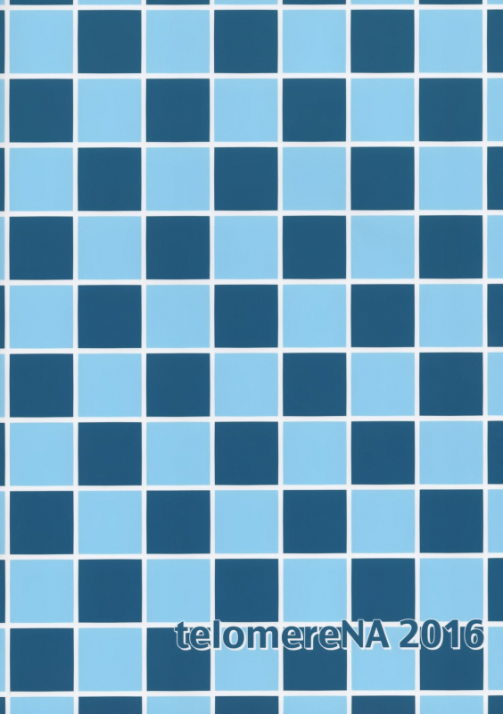 (C91) [telomereNA (Gustav)] Maid Minami no Gohoushi Full Course (THE IDOLM@STER CINDEREL_21