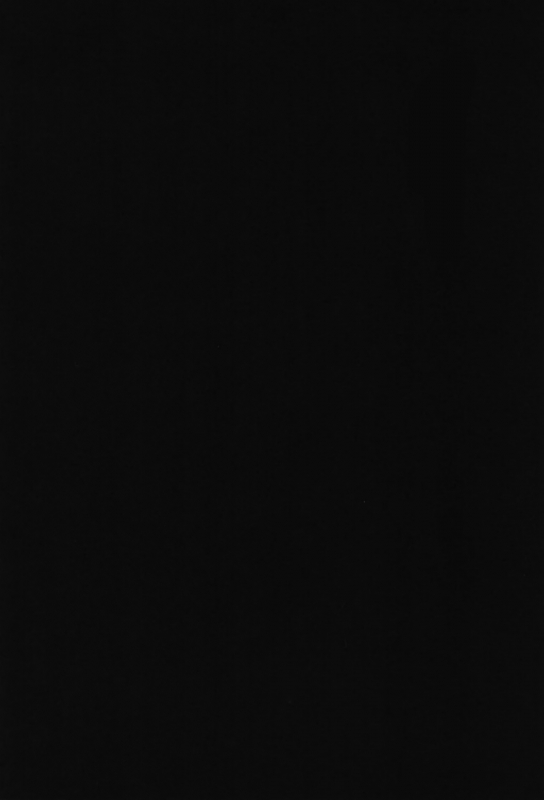 (C92) [Nikka] YuuVik Mob Rape (Yuri!!! on Ice) [English]_10